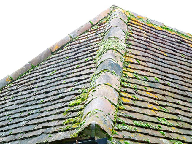 St. Edward The Confesser