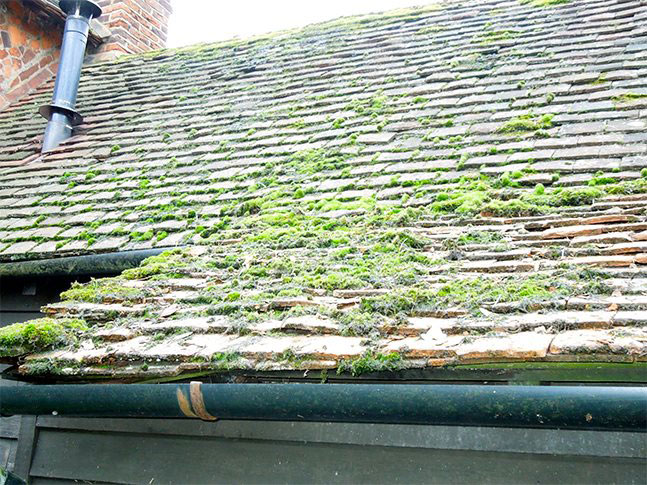 St. Edward The Confesser